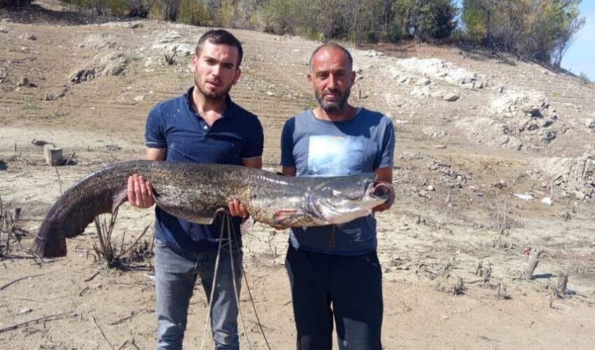 Baraj gölünde dev yayın balığı yakaladılar