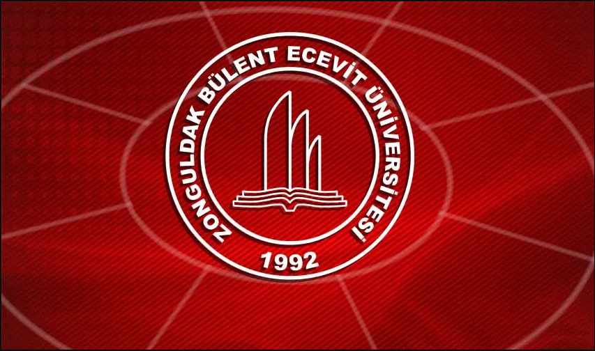 Bülent Ecevit Üniversitesi yazılım ve destek hizmeti alımı