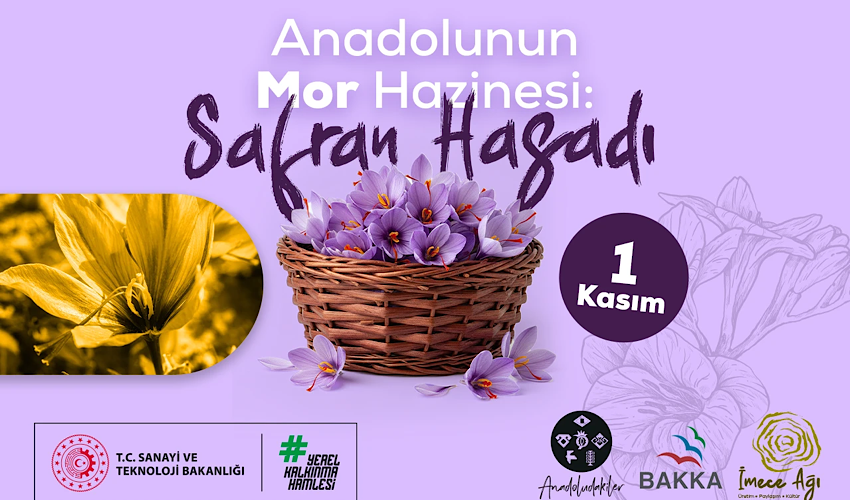 Morun ve dayanışmanın hasadı: Anadoludakiler’den safran imecesi