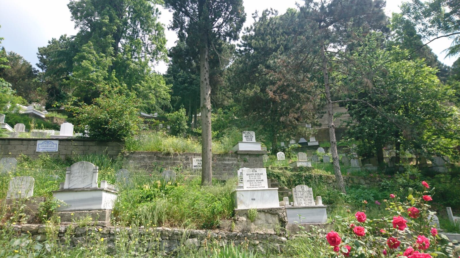 Asri Mezarlık 1