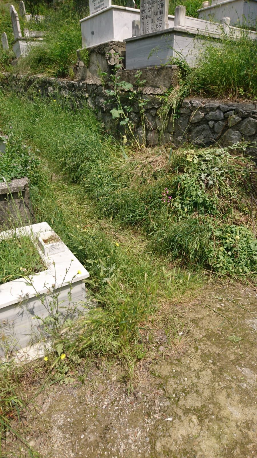 Asri Mezarlık 2