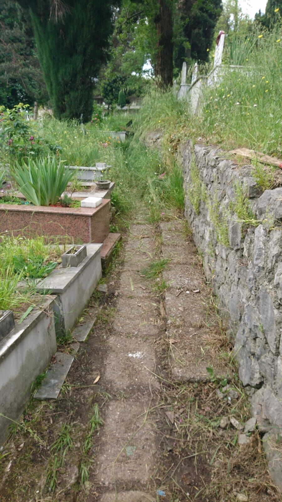 Asri Mezarlık 5