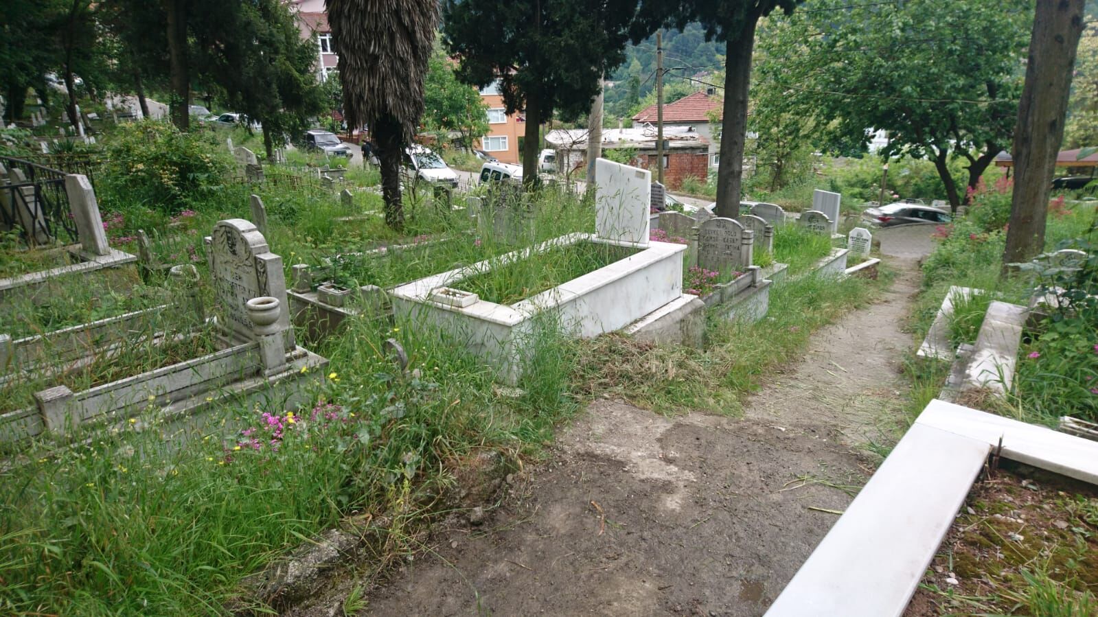 Asri Mezarlık 6