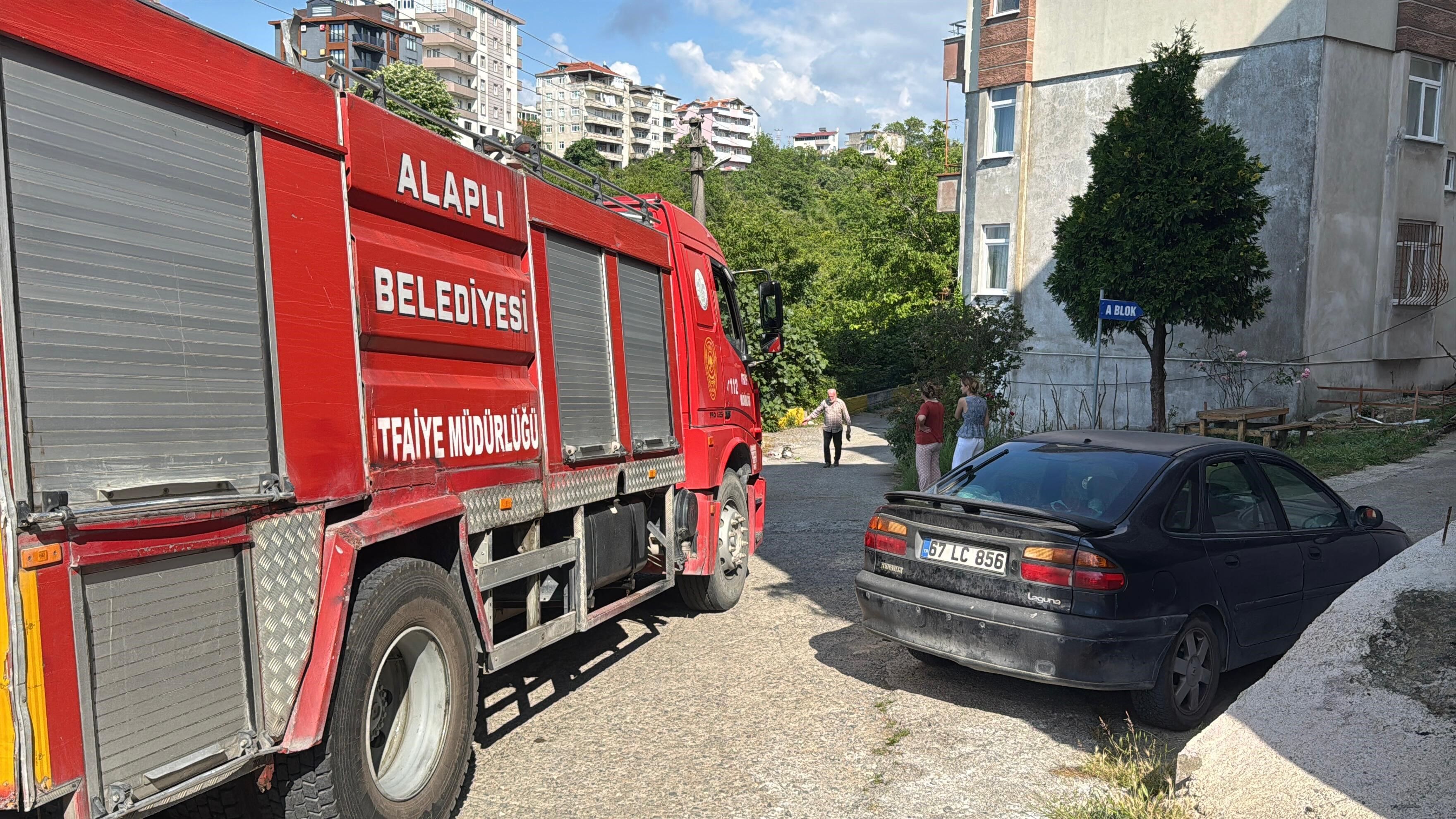 Alev topuna dönen piknik tüpü korkuttu