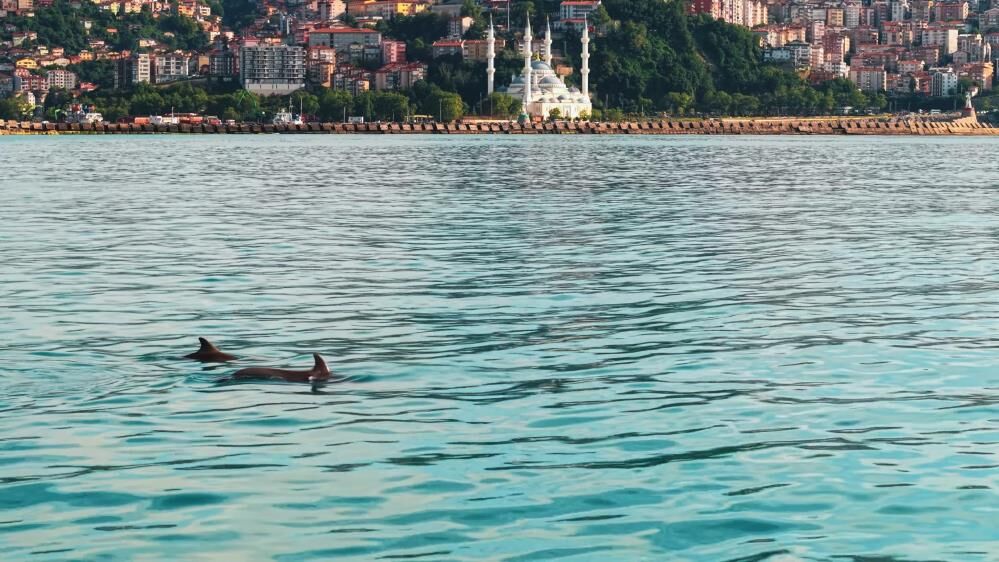 Ihtişam 3