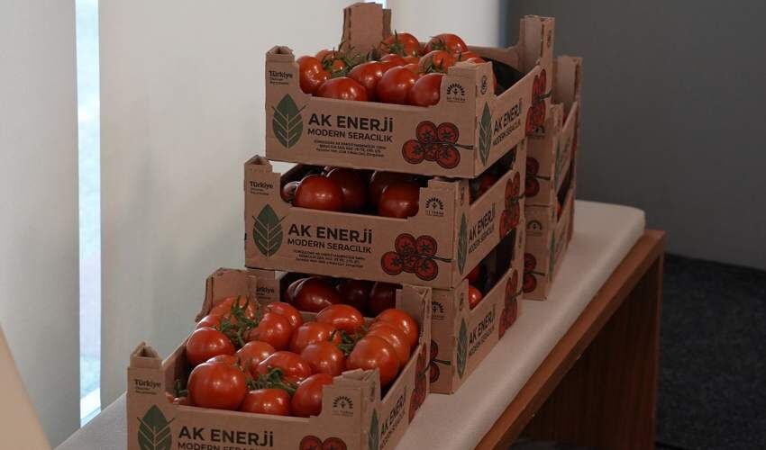İlk hasat Belediye Meclisinde ikram edildi