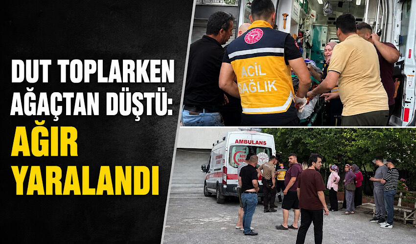 Dut toplarken ağaçtan düştü: Ağır yaralandı
