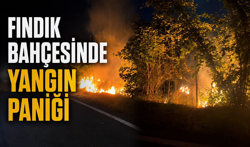 Fındık bahçesinde yangın paniği