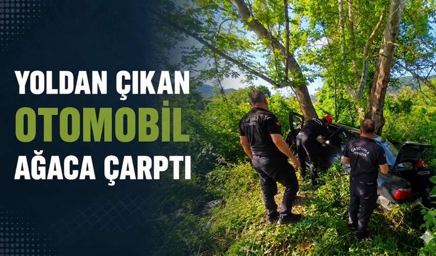 Yoldan çıkan otomobil ağaca çarptı