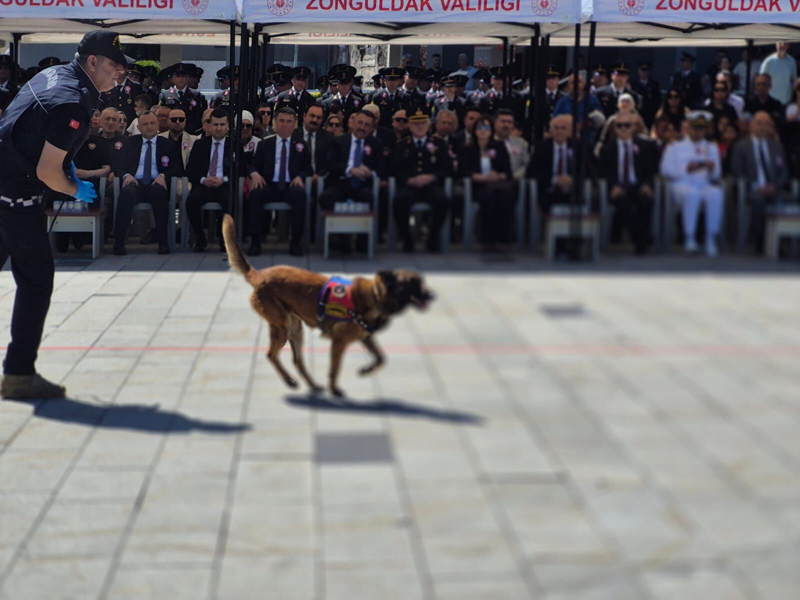 Jandarma'nın Kuruluş Yıl Dönümü 3
