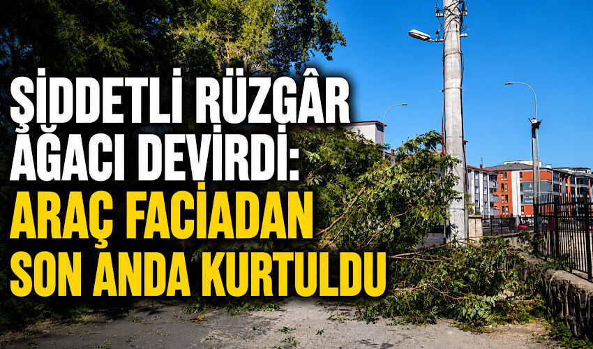 Şiddetli rüzgâr ağacı devirdi: Araç faciadan son anda kurtuldu
