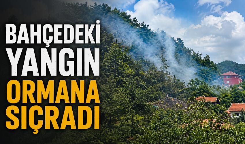 Muslu'da bahçe ateşi ormana sıçradı! Ekipler seferber oldu