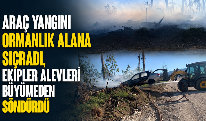 Araç yangını ormanlık alana sıçradı, ekipler alevleri büyümeden söndürdü