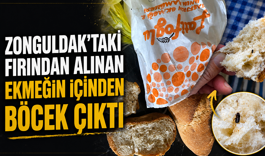 Zonguldak’taki fırından alınan ekmeğin içinden böcek çıktı