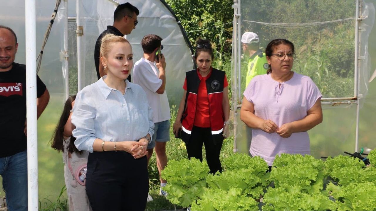 Kaymakam Ruveyda Kahraman Şıktaş'tan topraksız tarım serasına ziyaret