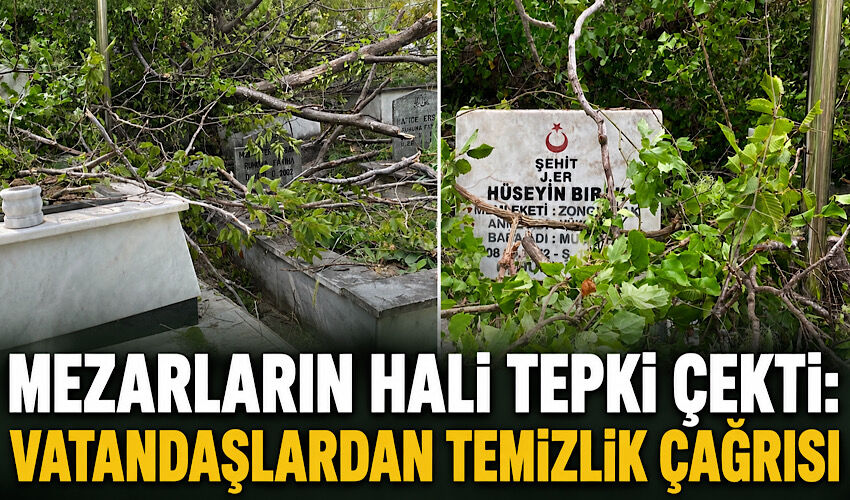 Mezarların hali tepki çekti: Vatandaşlardan temizlik çağrısı