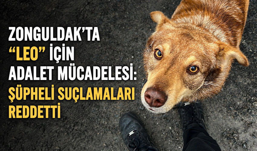 Zonguldak’ta “Leo” için adalet mücadelesi: Şüpheli suçlamaları reddetti