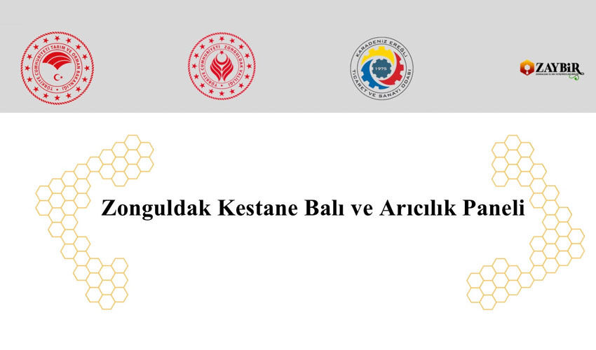 Arıcılar Ereğli'de buluşuyor