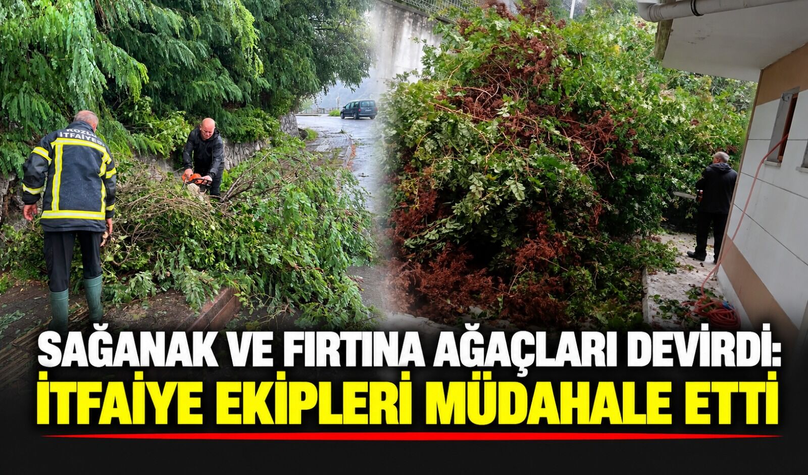 Sağanak ve fırtına ağaçları devirdi: İtfaiye ekipleri müdahale etti