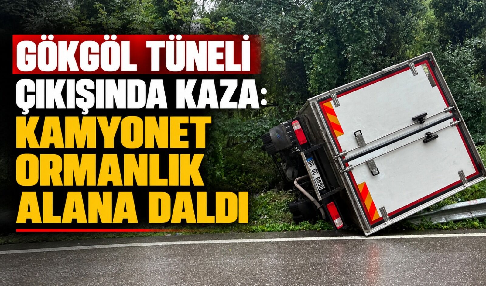 Gökgöl Tüneli çıkışında kaza: Kamyonet ormanlık alana daldı