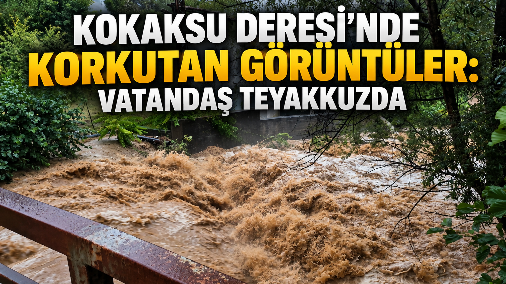 Kokaksu Deresi'nde korkutan görüntüler: Vatandaş teyakkuzda