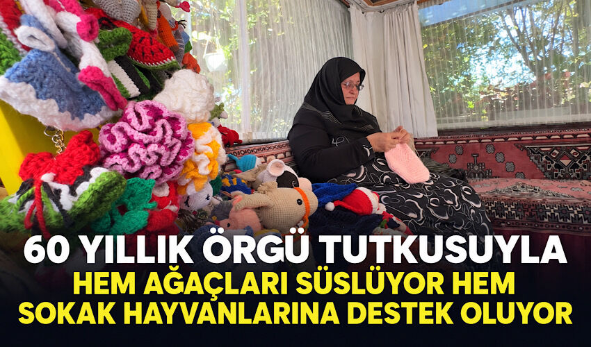 60 yıllık örgü tutkusuyla hem ağaçları süslüyor hem sokak hayvanlarına destek oluyor