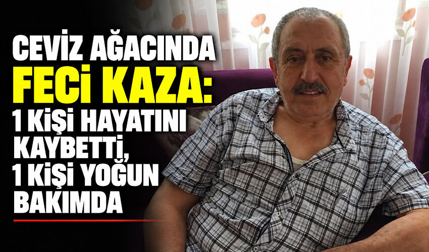 Ceviz ağacında feci kaza: 1 kişi hayatını kaybetti, 1 kişi yoğun bakımda