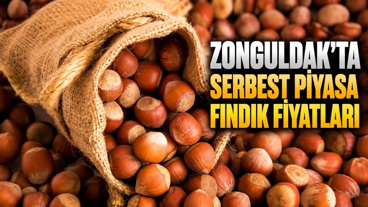Zonguldak'ta serbest piyasa fındık fiyatları