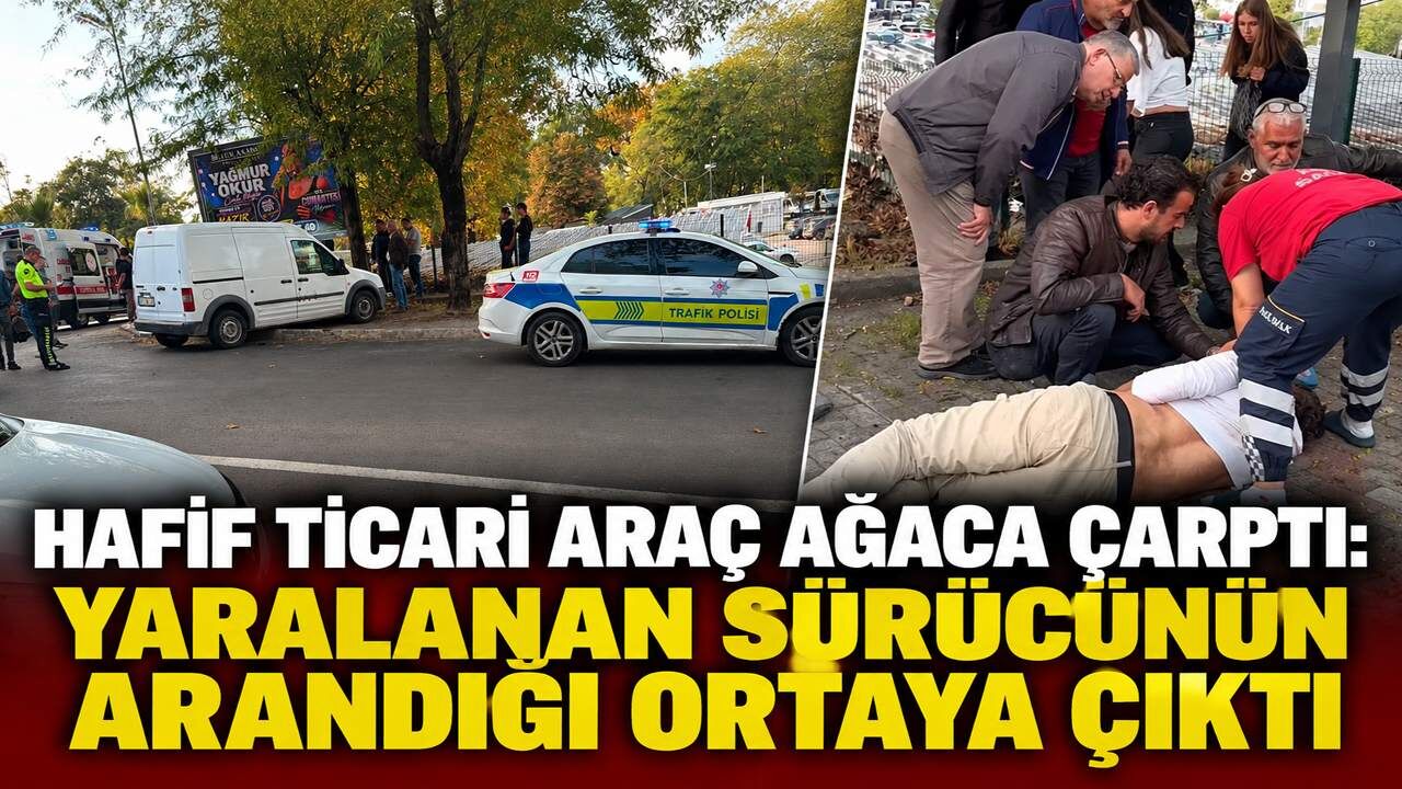Hafif ticari araç ağaca çarptı: Yaralanan sürücünün arandığı ortaya çıktı