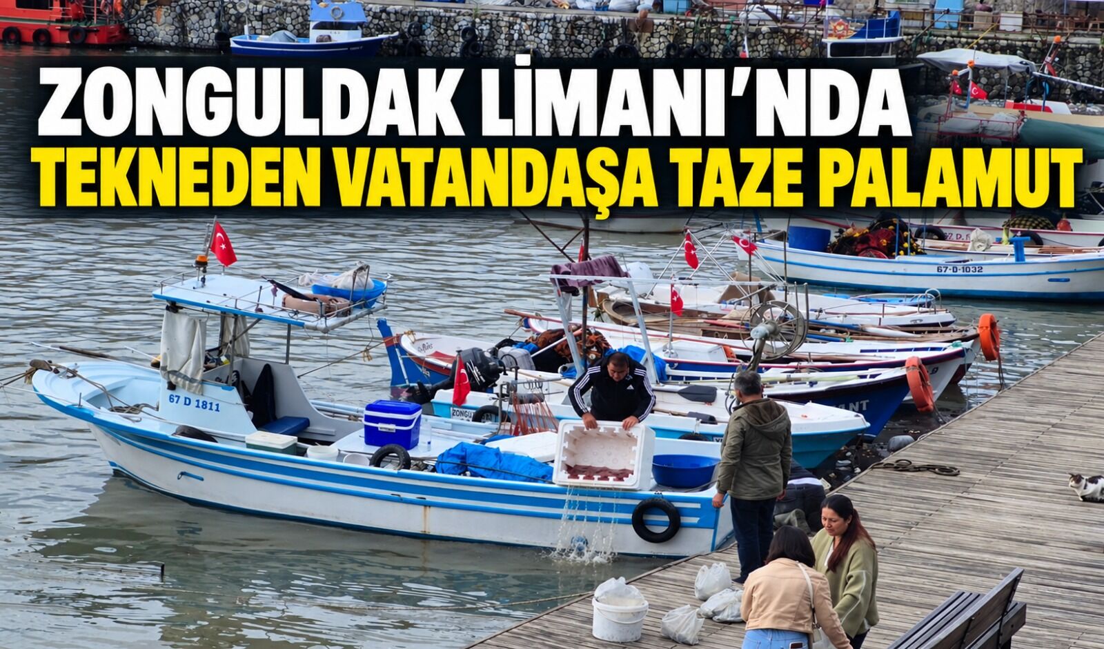Zonguldak Limanı’nda tekneden vatandaşa taze palamut