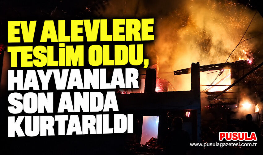 Ev alevlere teslim oldu, hayvanlar son anda kurtarıldı