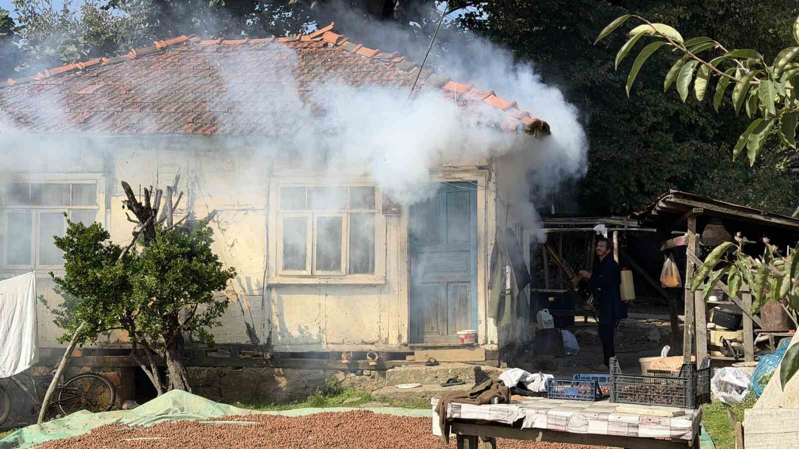Kokarca istilasına karşı ilginç mücadele: İlaç yetmedi, tavuk ve hindiler devreye girdi