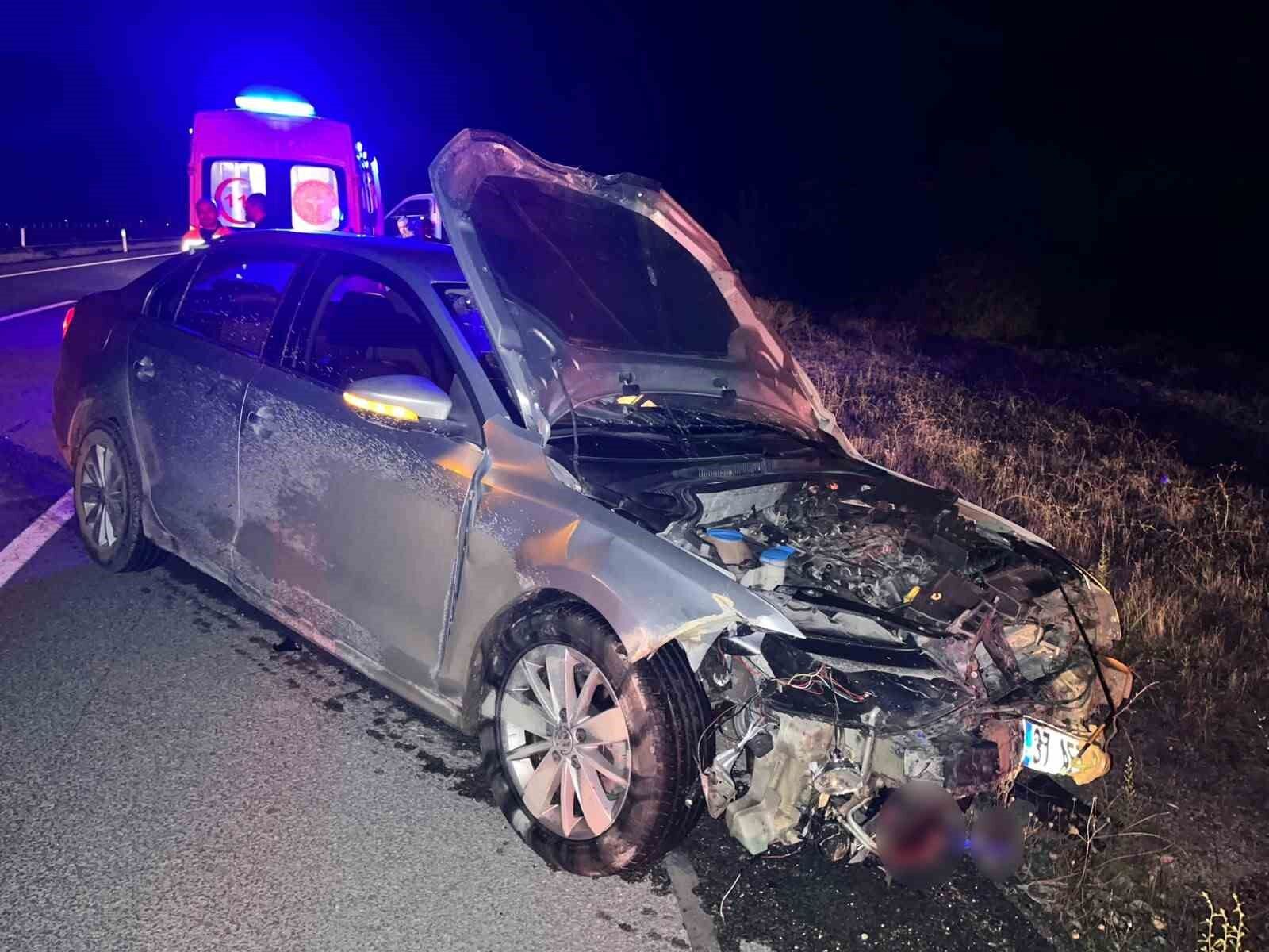 Otomobil domuz sürüsüne çarptı: 2 yaralı