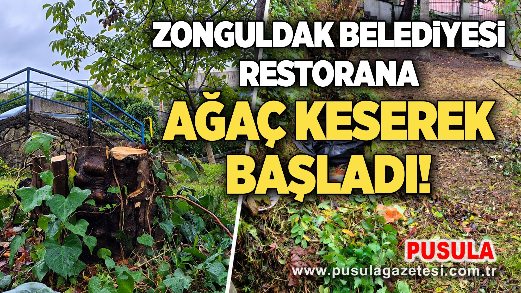 Zonguldak Belediyesi restorana ağaç keserek başladı!