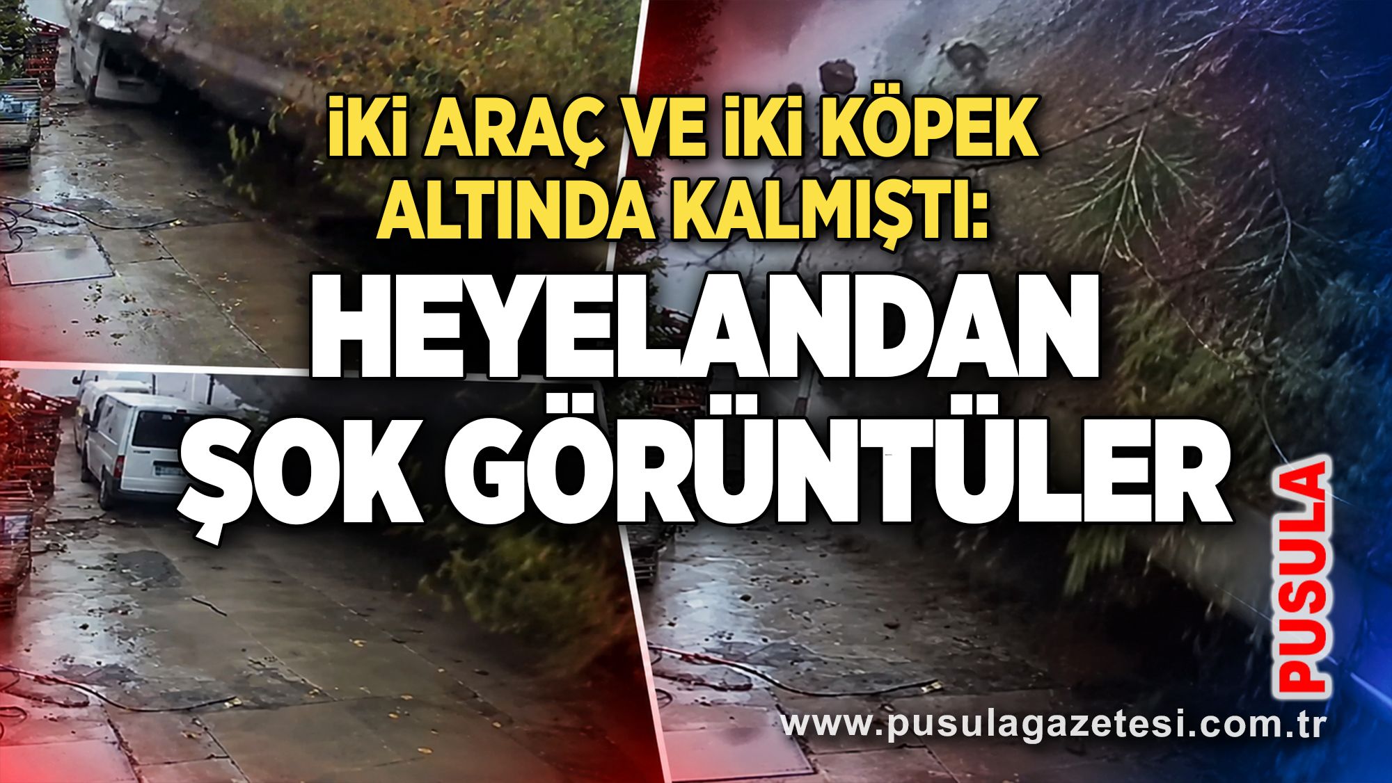 İki araç ve iki köpek altında kalmıştı: Heyelandan şok görüntüler