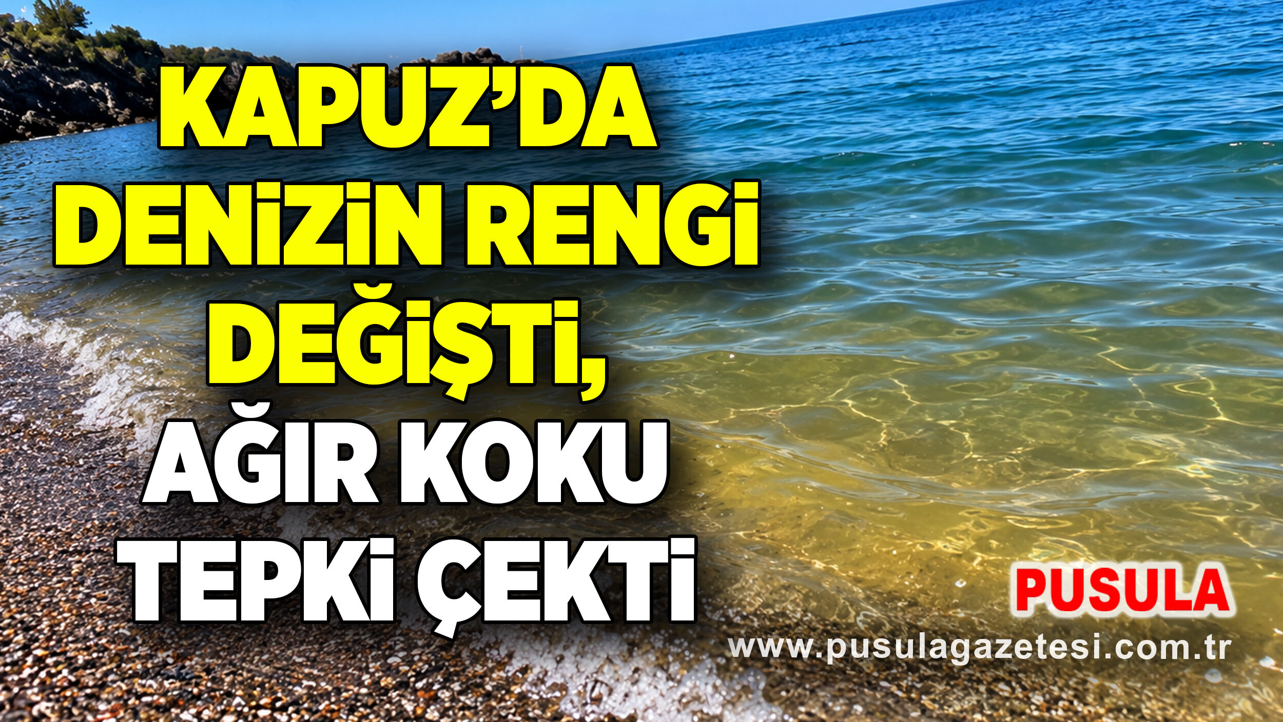 Kapuz’da denizin rengi değişti, ağır koku tepki çekti