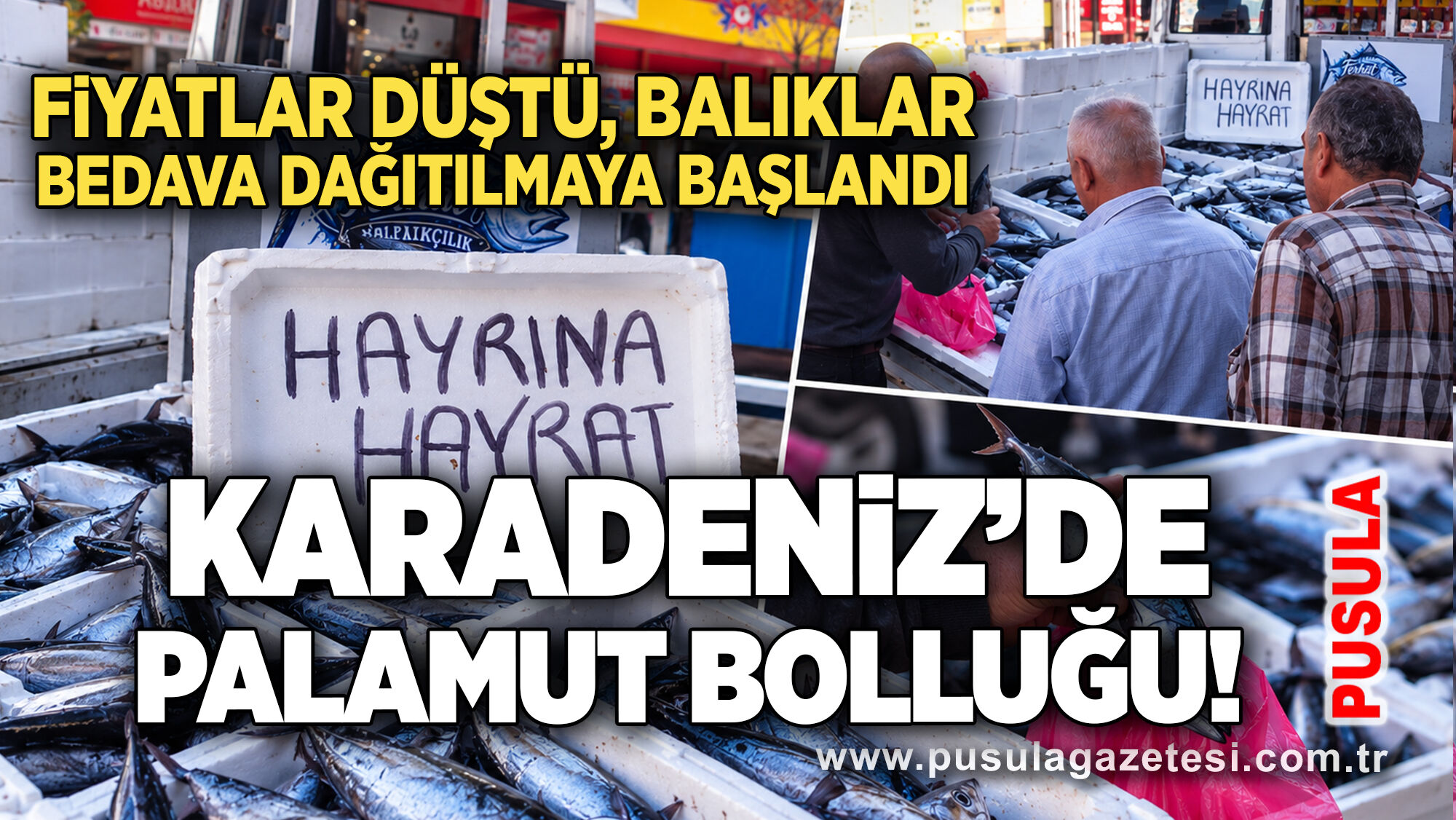 Karadeniz’de palamut bolluğu! Fiyatlar düştü, balıklar bedava dağıtılmaya başlandı