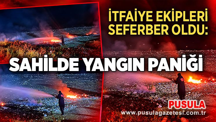 İtfaiye ekipleri seferber oldu: Sahilde yangın paniği