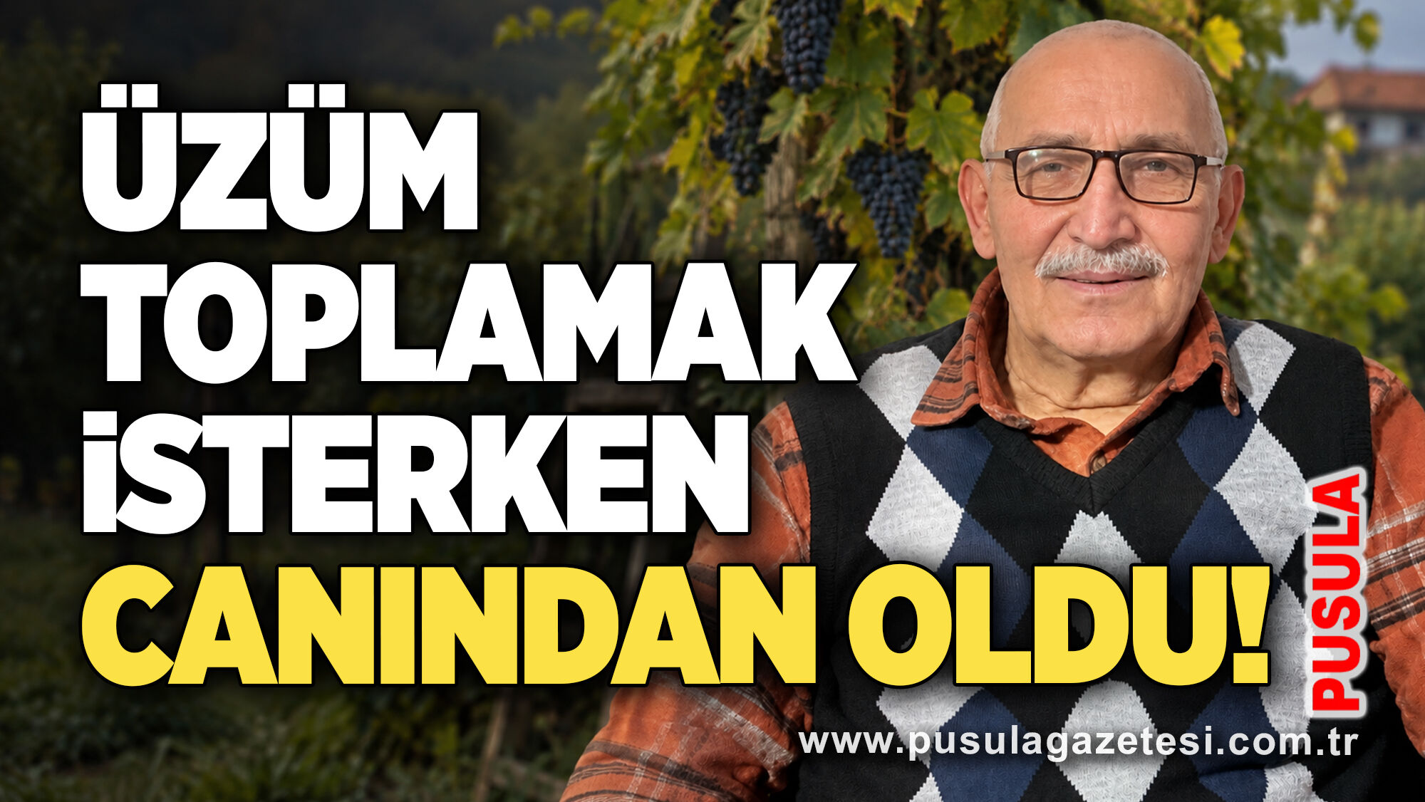 Üzüm toplamak isterken canından oldu!